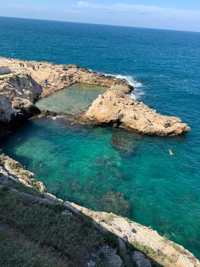 L'Ulivo Bed And Breakfast Savelletri Εξωτερικό φωτογραφία