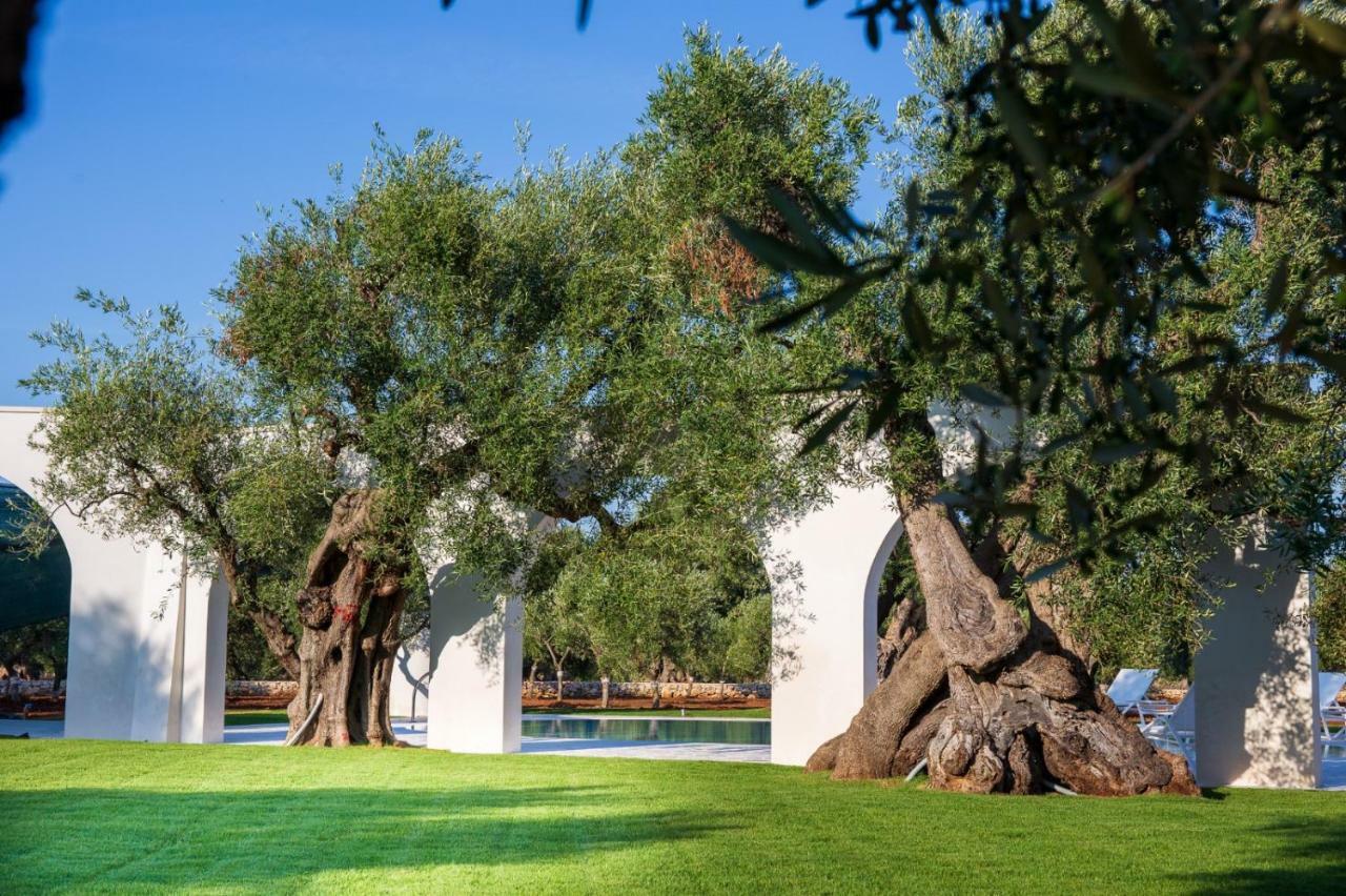 L'Ulivo Bed And Breakfast Savelletri Εξωτερικό φωτογραφία